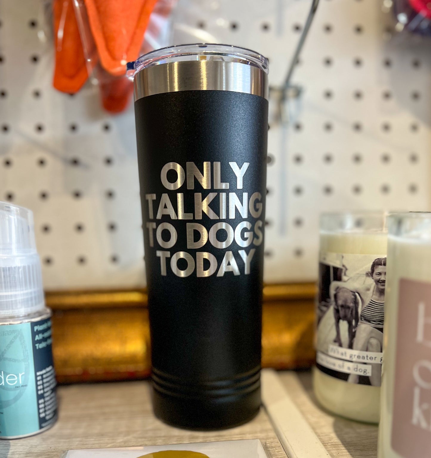 Only Talking to Dogs Today 20 oz. Stainless Steel Tumbler